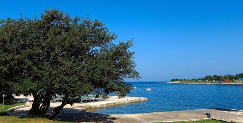 Apartments Eliva Umag Zewnętrze zdjęcie